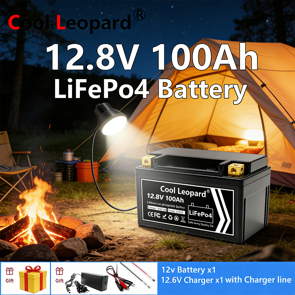 Lightweight 12V 100Ah LiFePO4  - Fish Finder Charger recensie en prijs
